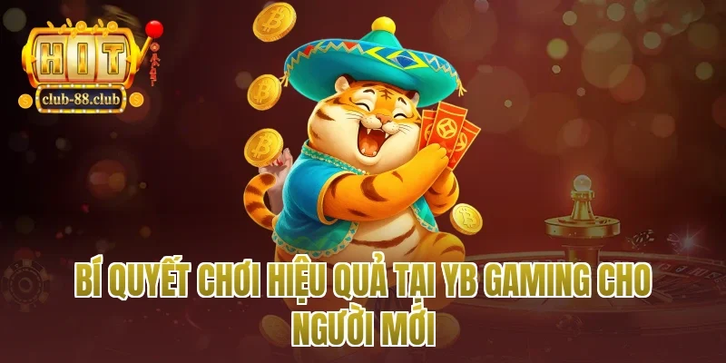 Bí quyết chơi hiệu quả tại YB gaming cho người mới