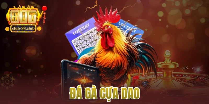 đá gà cựa dao